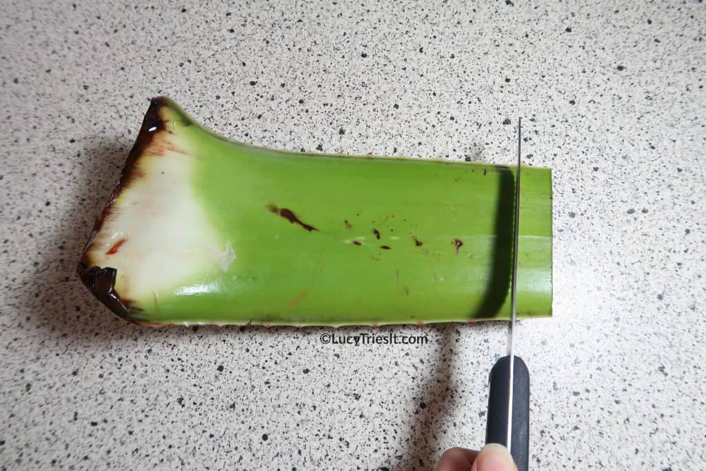 Aloe leaf being cut with knife for a homemade aloe vera face mask